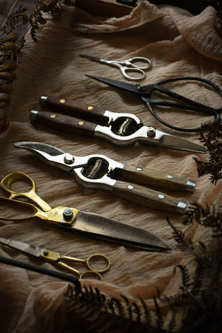 amble and twine dried flowers australia tools