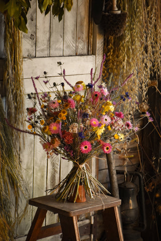 amble and twine dried flowers australia