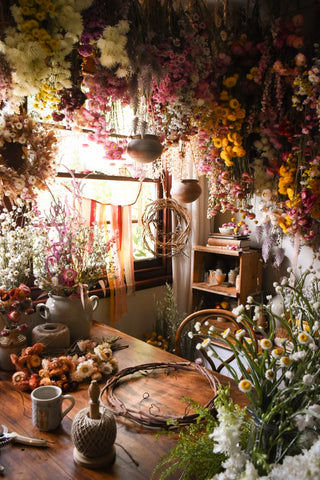 amble and twine dried flowers australia