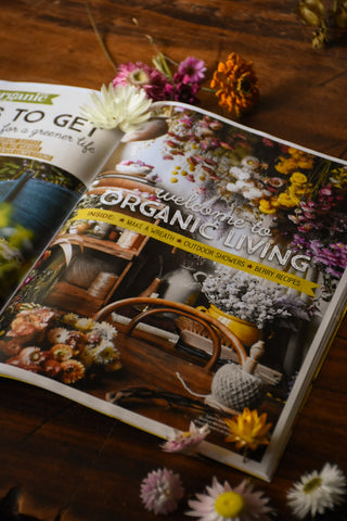 amble and twine dried flowers australia features