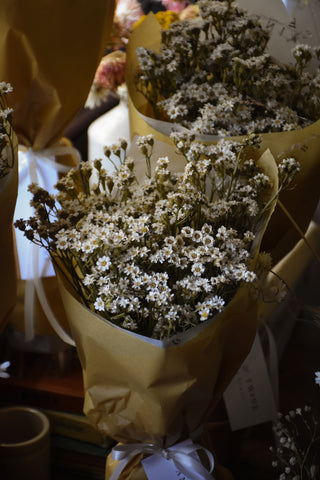 amble and twine dried flowers australia dried south australian daisies