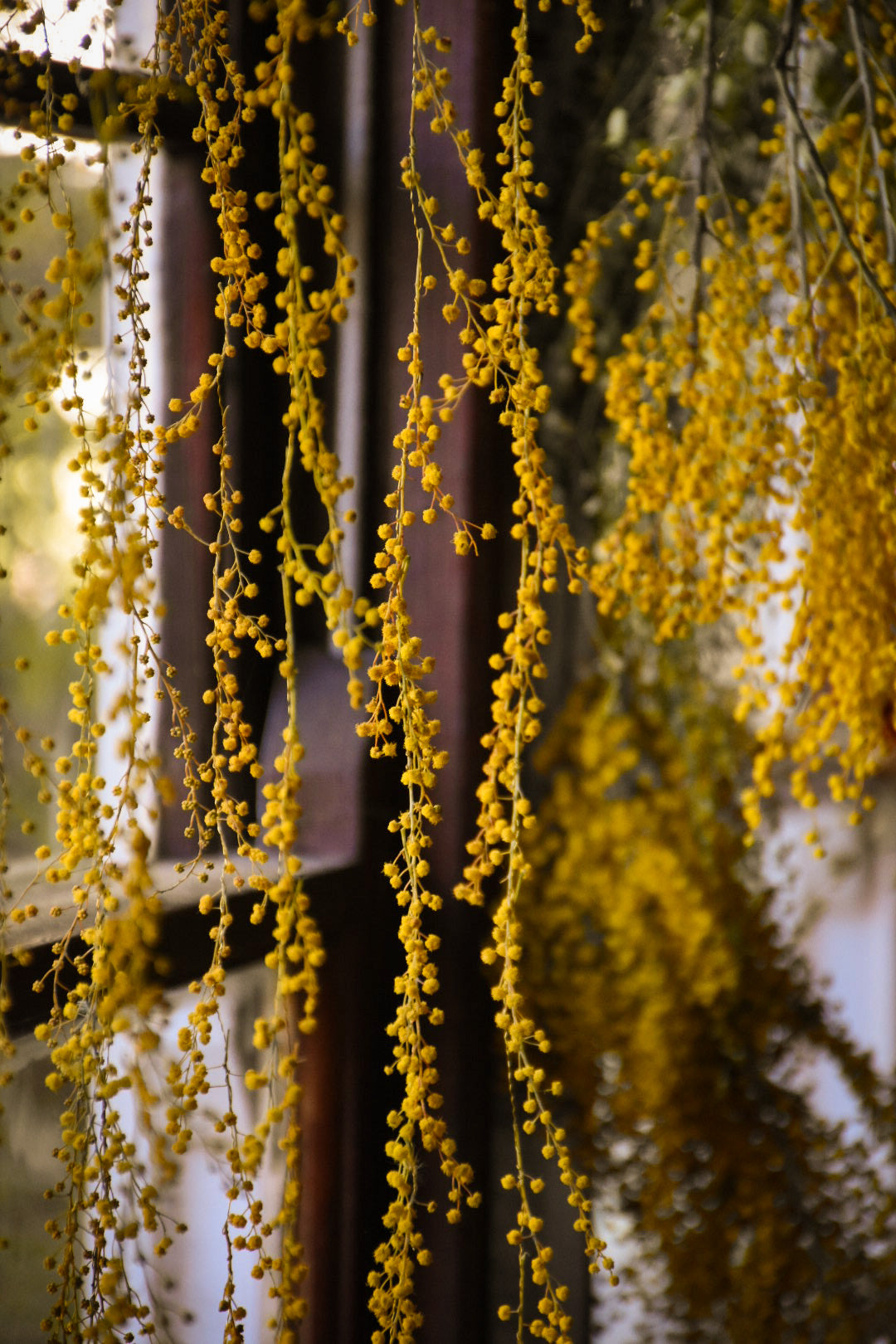 Garland Wire - Brass